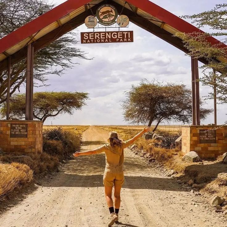 Safari experience