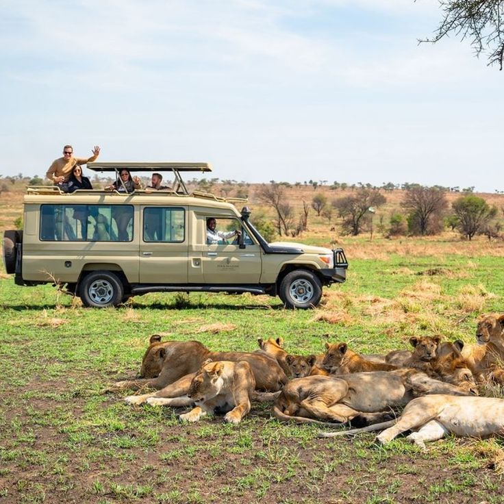 Uganda journey