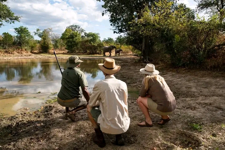 Safari adventure